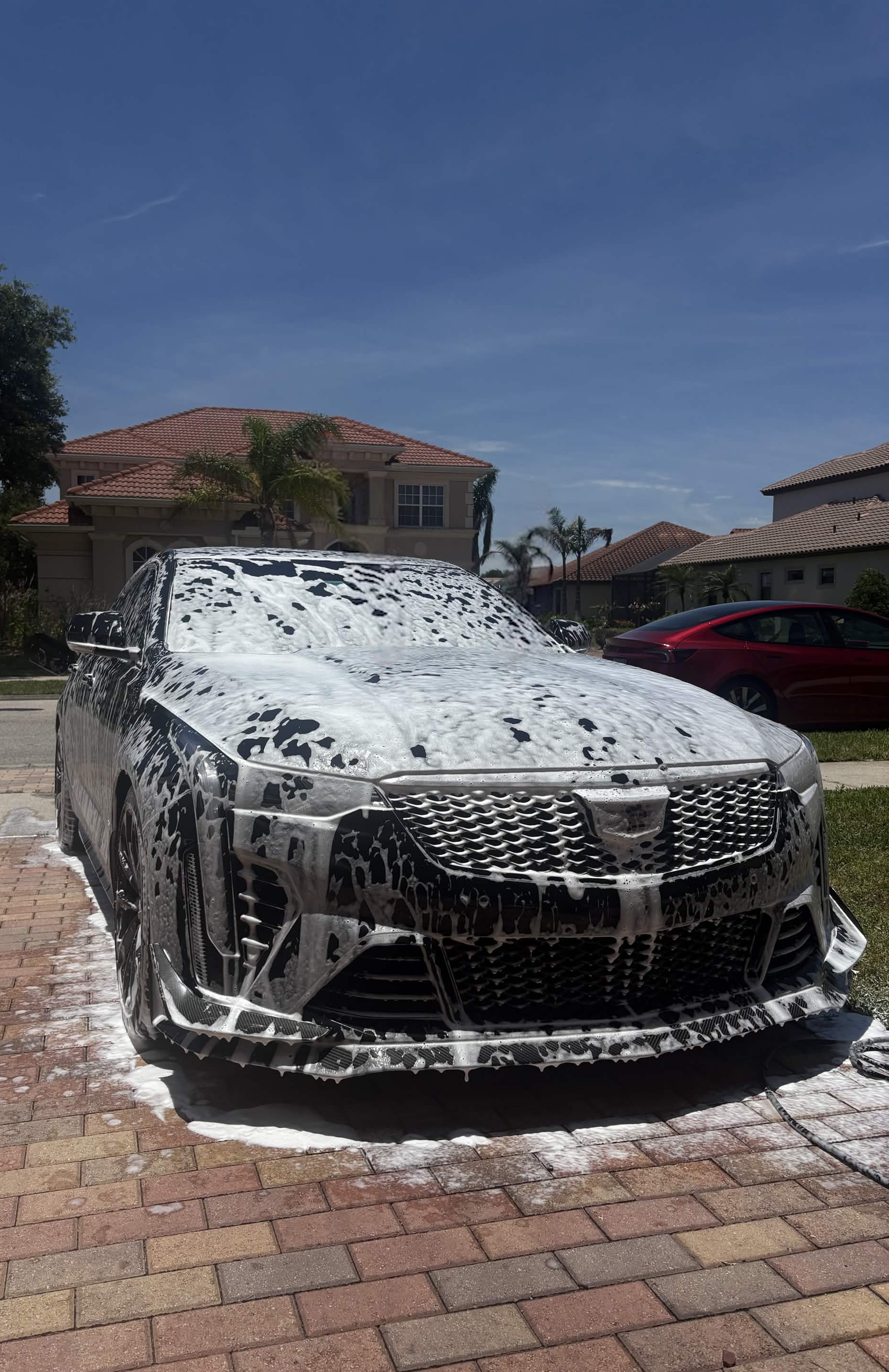 Cadillac coated in thick snow foam during a full detail in a Melbourne driveway